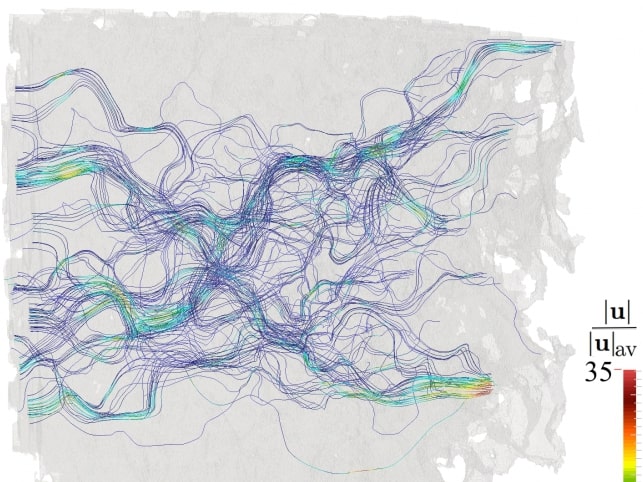 Alchorisma_image (2)